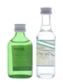 Gordon's Gin & Twist  2 x 5cl