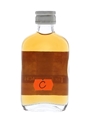 Glendronach 70 Proof - A Perfect Self Bottled 1970s - Gordon & MacPhail 5cl / 40%