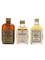 3 x Assorted Blended Scotch Miniatures 