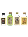 Assorted Blended Whisky Edinburgh Castle, Pinwinnie, MacLeod & White Horse 4  x 5cl / 40%