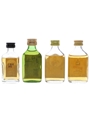 Assorted Blended Whisky Edinburgh Castle, Pinwinnie, MacLeod & White Horse 4  x 5cl / 40%