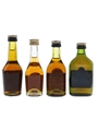 Martell 3 Star VS  4 x 3cl-5cl / 40%