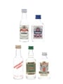 Assorted English Vodka Chekov, Cossack, Moonshine, Wolfschmidt & Zamoyski 5 x 5cl
