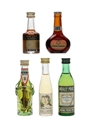 Assorted Liqueurs Bartolome Canellas, Bertrand, Cusenier, Noilly, Regnier 5 x 3cl-5cl
