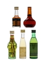 Assorted Liqueurs Bartolome Canellas, Bertrand, Cusenier, Noilly, Regnier 5 x 3cl-5cl