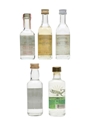 Arandas, Jose Cuervo, Montezuma, Sauza Tequila  5 x 5cl
