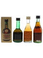 Carlos I, Drake & Torres  3 x 4.5cl-5cl