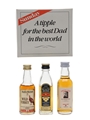Aberlour, Austin Nichols, Black Bush Sunday - A Tipple For The Best Dad In The World 3 x 5cl