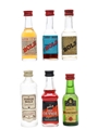 Assorted Bols Spirits & Liqueurs  6 x 3.5cl-5cl