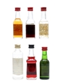 Assorted Bols Spirits & Liqueurs  6 x 3.5cl-5cl