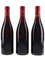 Nuits Saint Georges Aux Champs Perdrix 1999 Chevillon-Chezeaux - Premier Cru 3 x 75cl / 13%