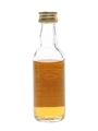 Benrinnes 1968 Connoisseurs Choice Bottled 1980s - Gordon & MacPhail 5cl / 40%