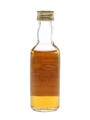 Glenlossie 1968 Connoisseurs Choice Bottled 1980s - Gordon & MacPhail 5cl / 40%