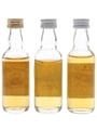 Pheasant Plucker, Tinkers Dram & Wild Oats Bottled 1980s - George Strachan 3 x 5cl / 40%