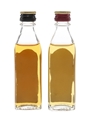 Black Bush & Bushmills 10 Year Old Bottled 1980s 2 x 5cl / 40%