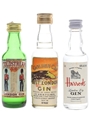 Coldstream, Golden Cap & Harrods Bottled 1970s & 1980s 3 x 5cl / 40%