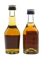 Martell 3 Star VS Bottled 1970s-1980s 2 x 5cl / 40%