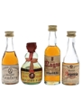 Century, Gran Duque D'Alba, Osborne & Regencia  4 x 5cl