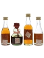 Century, Gran Duque D'Alba, Osborne & Regencia  4 x 5cl