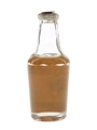 Gioconda Exquisito Anisette Bottled 1950s-1960s 5cl