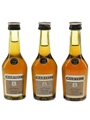 Martell 3 Star VS Bottled 1970s-1980s 5cl / 40%