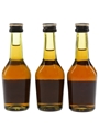 Martell 3 Star VS Bottled 1970s-1980s 5cl / 40%