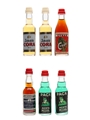 Cora, Cynar, Gambarotta & Pack Liqueurs  6 x 2.5cl-4cl