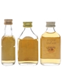 Macleod's, Old Smuggler & Whyte & Mackay Bottled 1980s 3 x 3cl-5cl / 40%