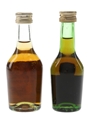 Hine & Martell Bottled 1970s &1980s 2 x 3cl-4.5cl / 40%