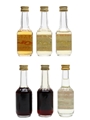 Assorted Bols Liqueurs Bottled 1970s & 1980s 6 x 3.5cl