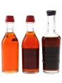 Campari & Ramazzotti Bottled 1970s 3 x 2.5cl-5cl