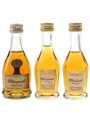 Bisquit Bottled 1970s & 2000s 3 x 3cl-5cl / 40%