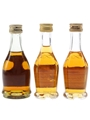 Bisquit Bottled 1970s & 2000s 3 x 3cl-5cl / 40%