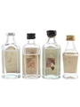 Assorted Gin  4 x 3cl-5cl