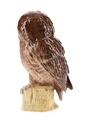 Beneagles Tawny Owl Bottled 1980s - Royal Doulton 20cl / 40%