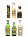 Assorted Blended Whisky  6 x 4cl-5.6cl