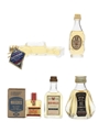 Assorted Blended Whisky  5 x 1cl-5cl