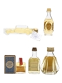 Assorted Blended Whisky  5 x 1cl-5cl