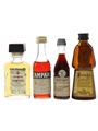 Amaretto Di Saronno, Campari, Fernet Branca & Frangelico  4 x 2.5cl-5cl