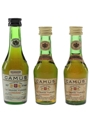Camus Celebration La Grande Marque Bottled 1960s-1970s 3 x 3cl-5cl / 40%