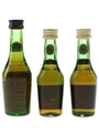 Camus Celebration La Grande Marque Bottled 1960s-1970s 3 x 3cl-5cl / 40%