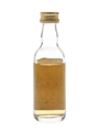 Girvan 1979 14 Year Old Bottled 1994 - Cadenhead's 5cl / 65.3%