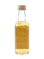 Auchentoshan 10 Year Old Scottish Power  5cl / 40%