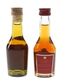 Martell 3 Star VS & Medaillon VSOP  2 x 3cl / 40%