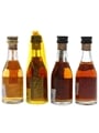Assorted Torres Brandy Gran Torres, 10 Year Old, Hors d'Age & 5 Year Old 4 x 4.2cl-4.6cl