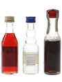 Campari Bitter, Cordial & Carpano Punt E Mes Bottled 1970s & 1980s 3 x 3cl-5cl