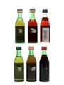 Assorted Martini Vermouth Bianco, Bitter, Dry, Rose & Rosso 6 x 5cl