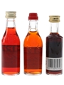 Campari & Ramazzotti Liqueurs  3 x 3cl-4cl