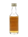 Tamdhu 10 Year Old Bottled 1970s 5cl / 40%