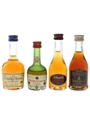 Courvoisier, Otard & Renault  4 x 3cl-5cl / 40%